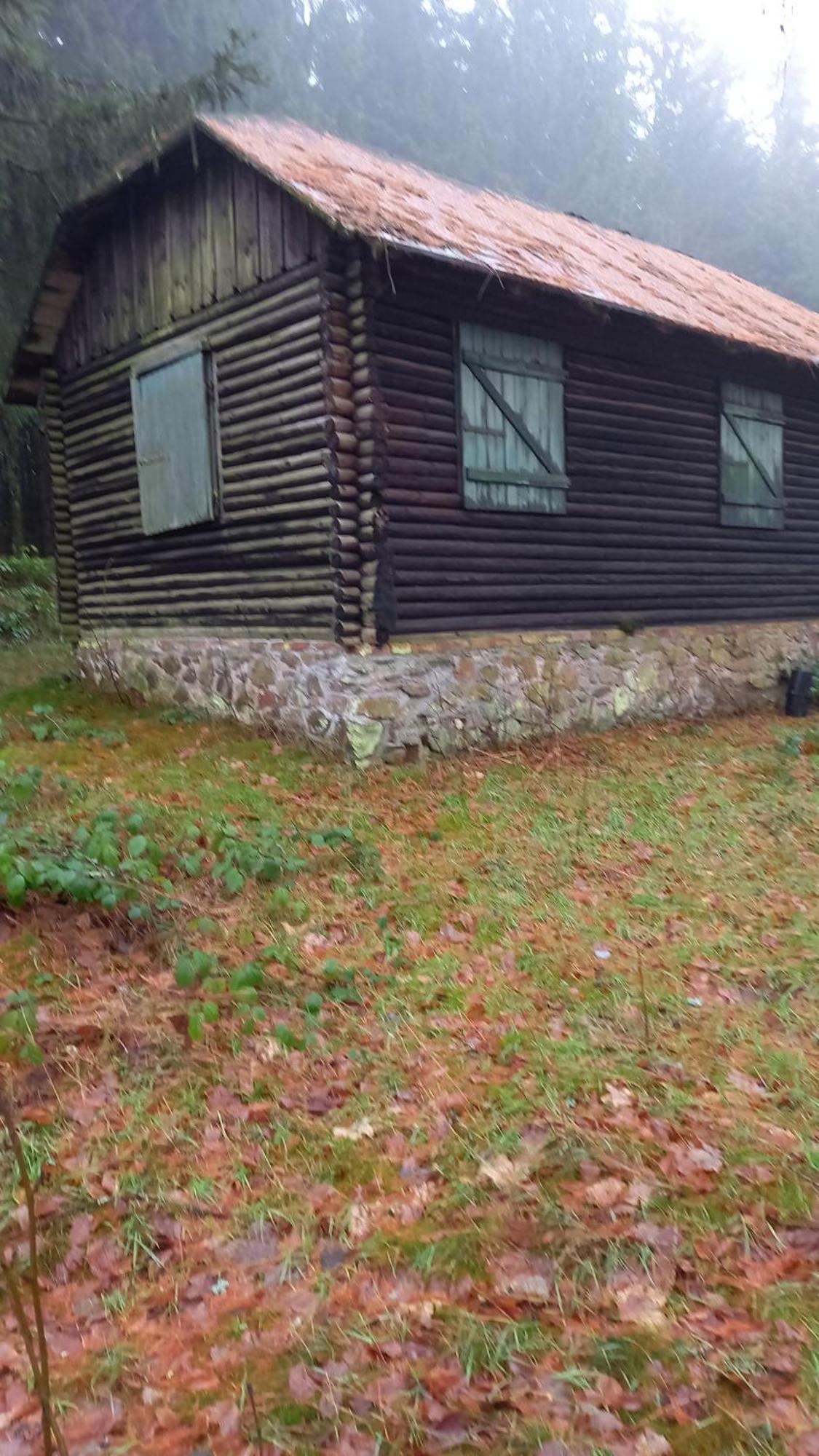 Monteur- Und Ferienwohnung Waldrauschen Fehrenbach Exterior foto