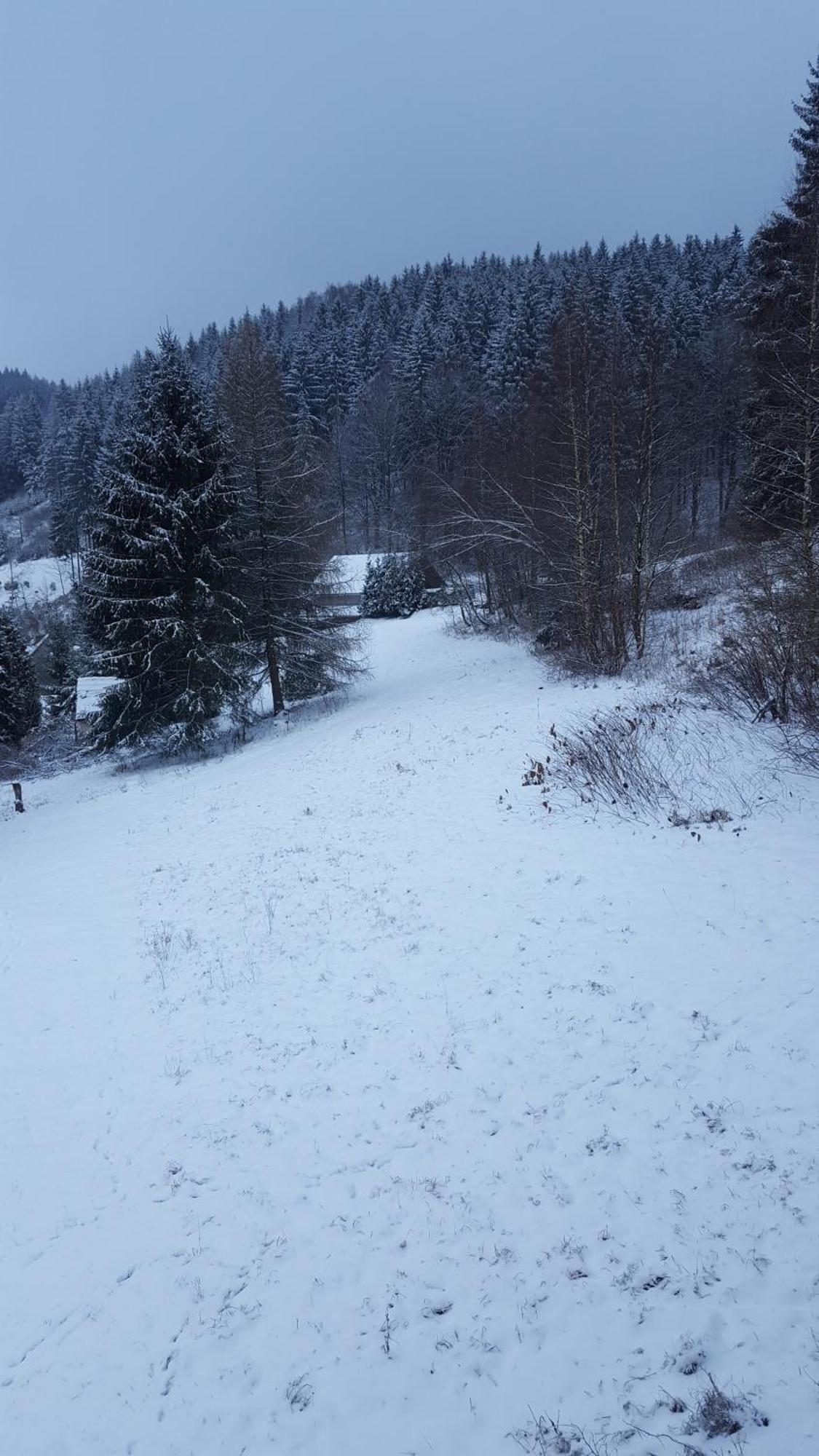 Monteur- Und Ferienwohnung Waldrauschen Fehrenbach Cameră foto