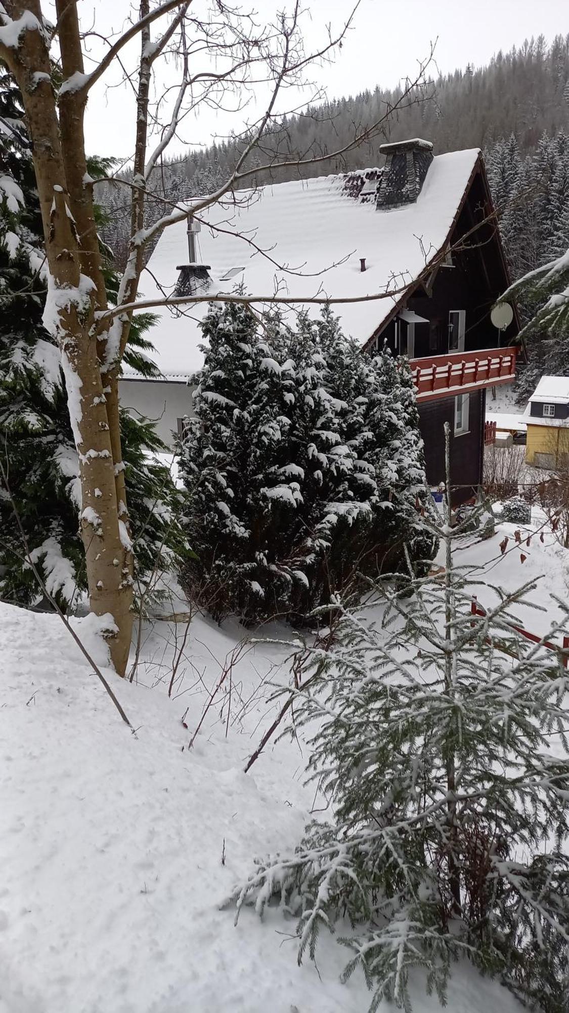 Monteur- Und Ferienwohnung Waldrauschen Fehrenbach Cameră foto